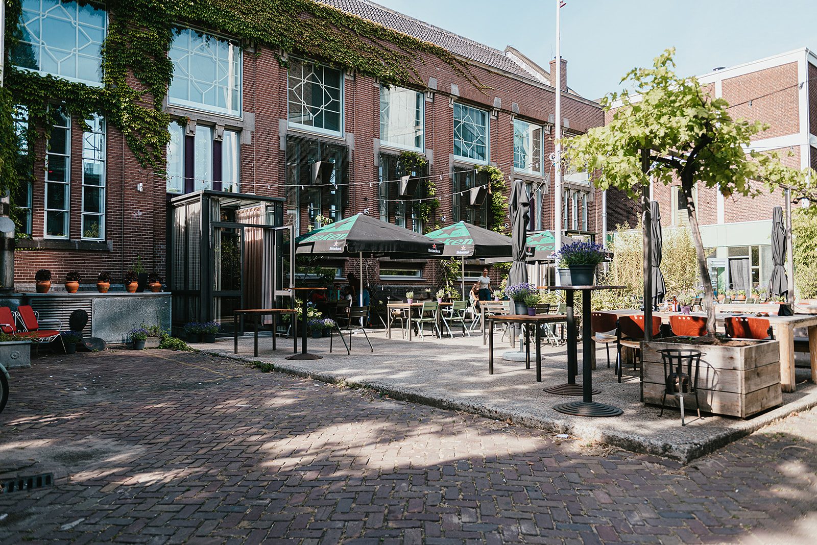 The terrace